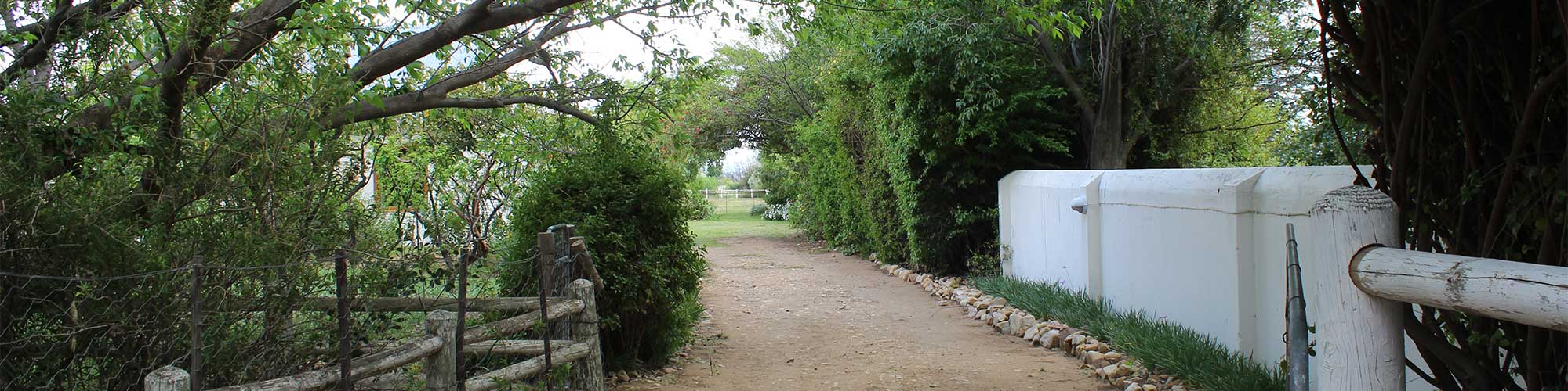 acacia cottage 1